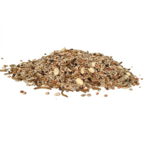 Havens Sus' FugleLux - 