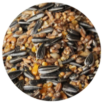 Havens SuperBird - Vildtfugle