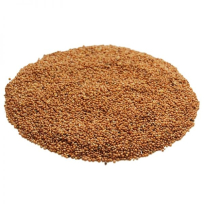 Havens Gul Hirse - Vildtfugle