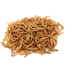 Havens Tørrede Melorme - 