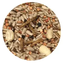 Havens Sus' FugleLux - 