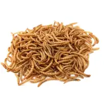 Havens Tørrede Melorme - 