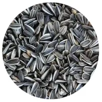 Havens Solsikkefrø - 