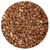 Havens Afskallede Jordnødder - 