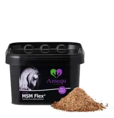 MSM Flex+ - 