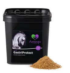 GastriProtect - 