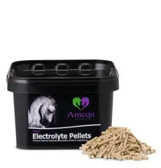 Electrolyte Pellets - 