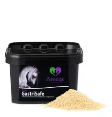 GastriSafe - 