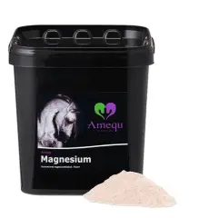 Magnesium - 