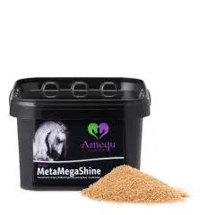 MetaMegaShine - 