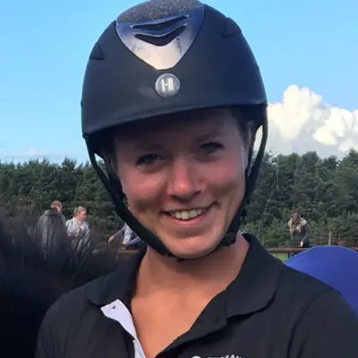 Et billede af Svalebæk Isheste